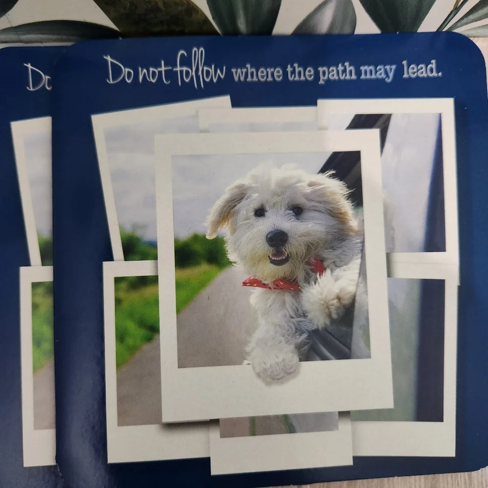 Driftwood Stationary Dog Card Set Beagle Shepherd Golden Retriever Bichon Unwrap